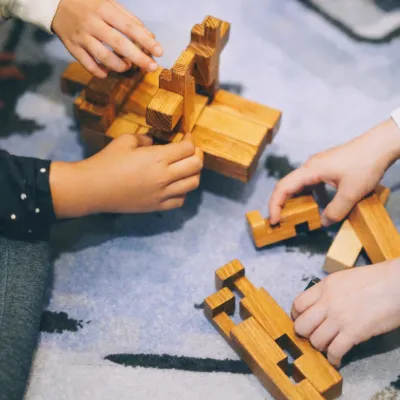 Sunmao Toys - Traditional Chinese Mortise and Tenon